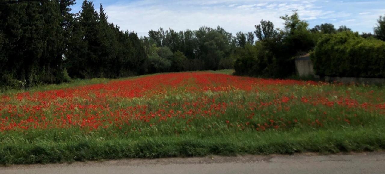 Le Mas Des Flaneraies Althen-des-Paluds Exteriér fotografie